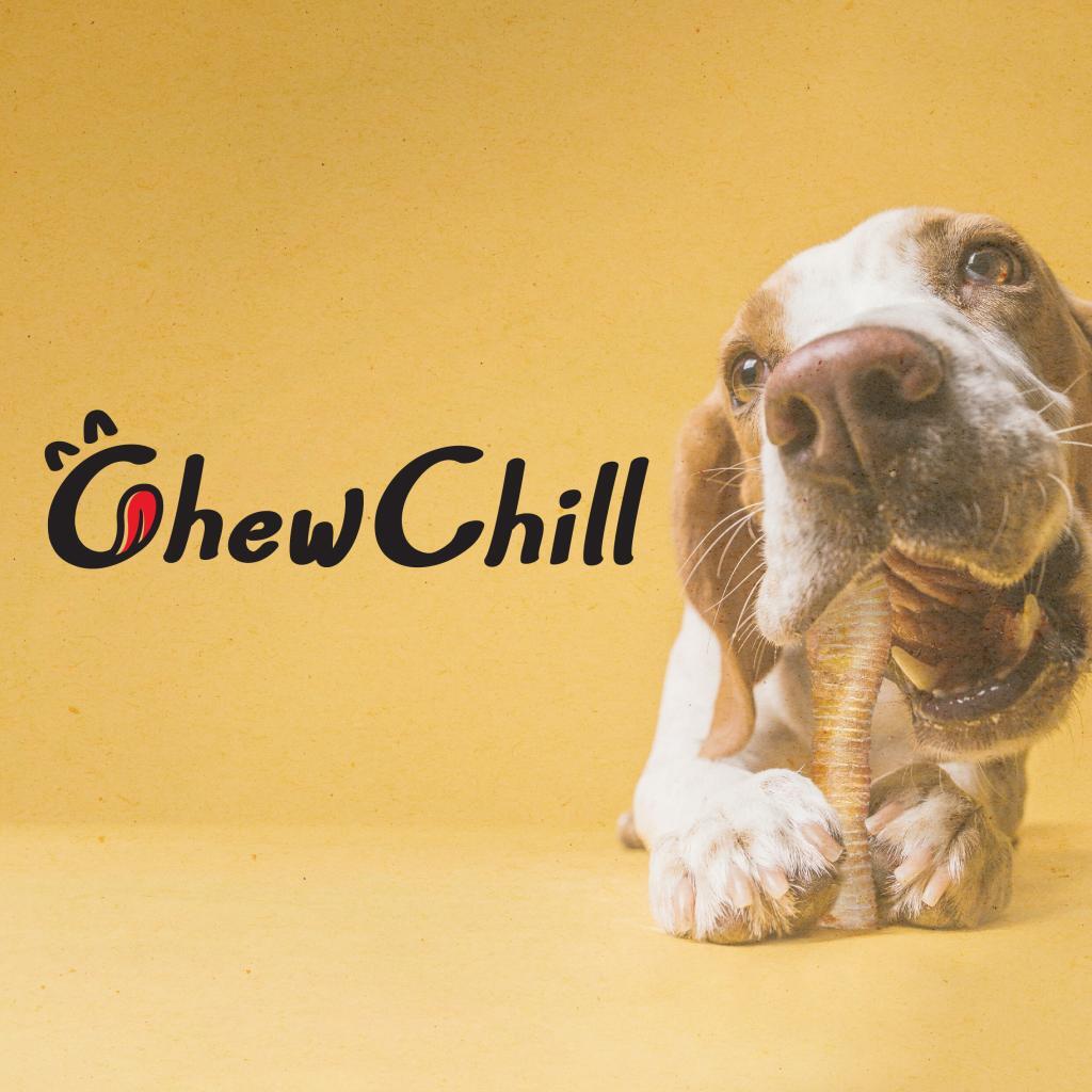 Chewchill branding packaging design strategic design agency